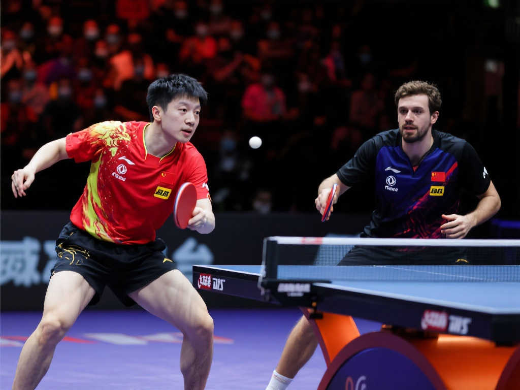 體報道指出 體報道指出