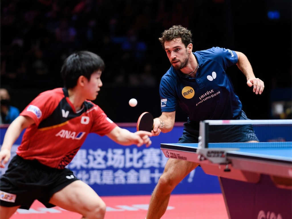 土耳其国家 土耳其国家